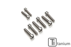 Kit viti piastra di sterzo inferiore CNC Racing per Ducati Panigale TITANIO CNC Racing