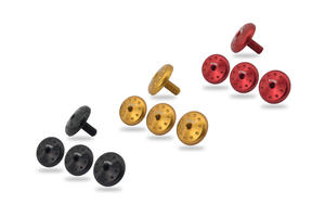 Kit viti cover radiatore Ducati Multistrada V4 CNC Racing