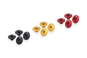 Boccole cupolino Moto Guzzi CNC Racing