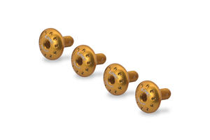 Kit viti parafango anteriore Ducati Scrambler Oro