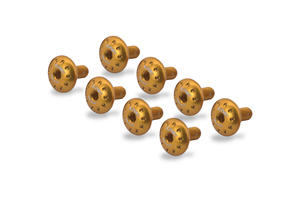 Kit viti parafango anteriore MV Agusta Dragster Oro