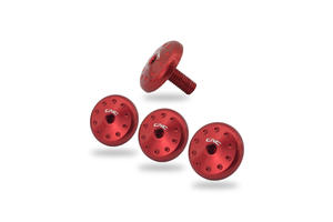 Kit viti cover radiatore Ducati Multistrada V4 <p>Rosso</p>