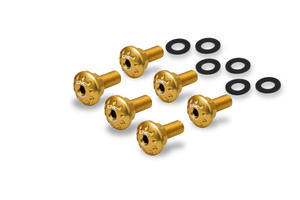 Kit viti parafango anteriore Ducati DesertX Oro