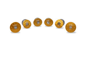 Tappi telaio MV Agusta F3 675 800 Oro