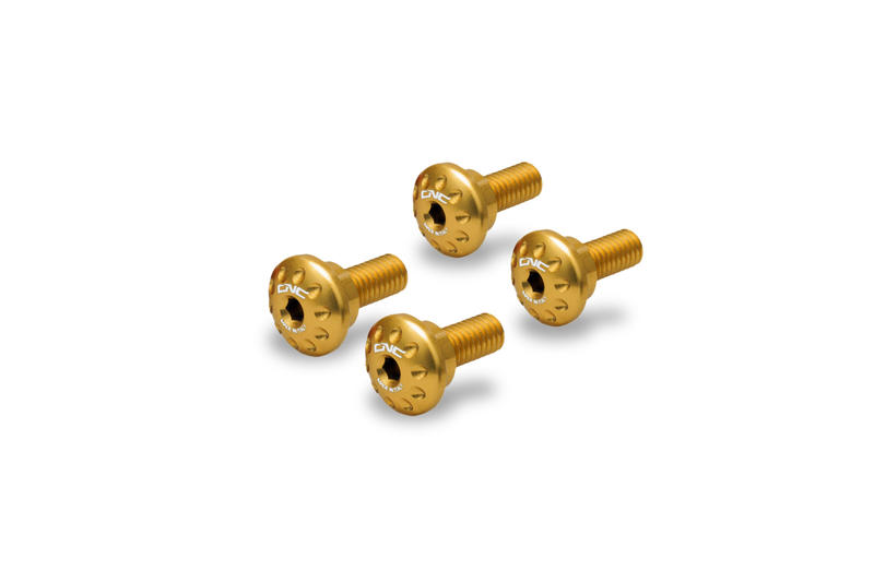 Kit viti sottocodone Ducati Oro